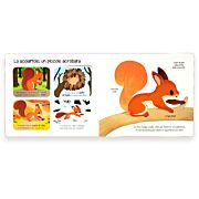 Gli animali del bosco: Libro illustrato per bambini eBook : Richards,  Emily: : Kindle Store