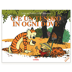 C'è un tesoro in ogni dove
