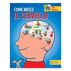 Il cervello