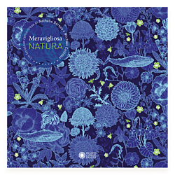 Meravigliosa natura