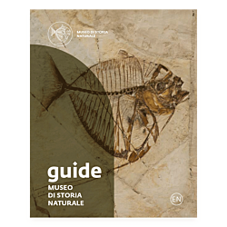 Museo di Storia Naturale. Guide