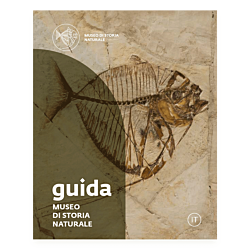 Museo di Storia Naturale. Guida