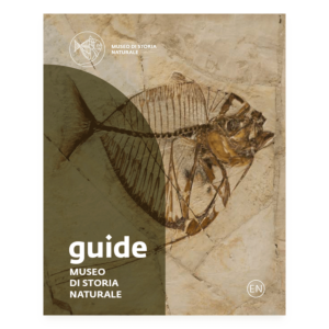 Museo di Storia Naturale. Guide